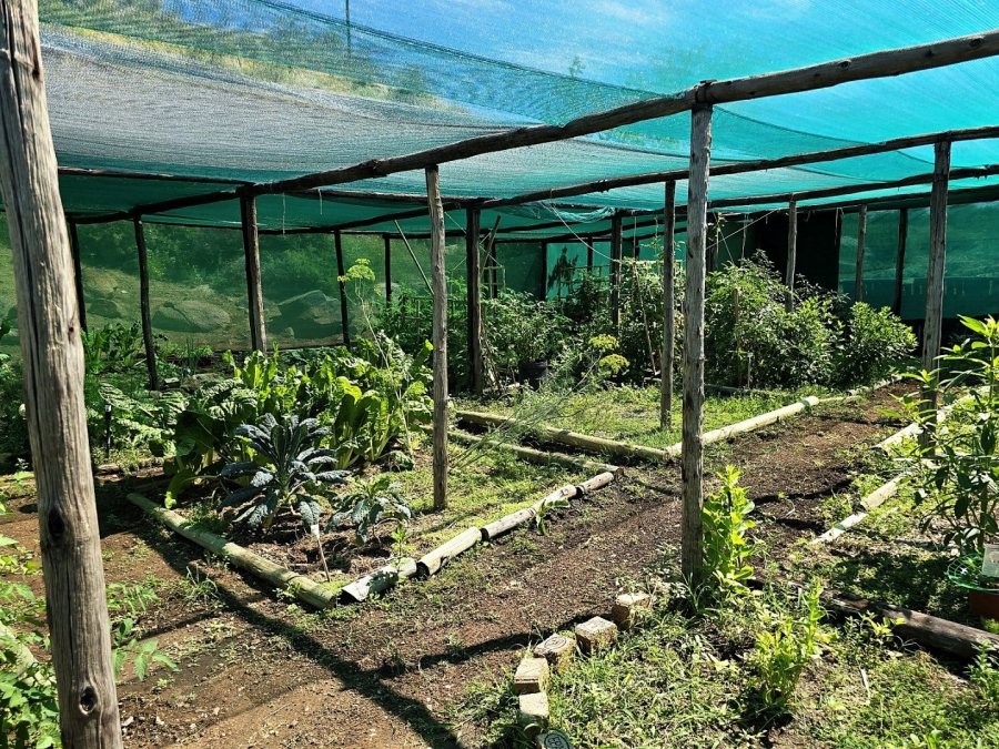 Commercial Property for Sale in Rooikopeiland Northern Cape